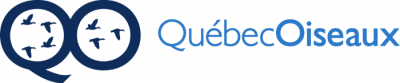 QuébecOiseaux